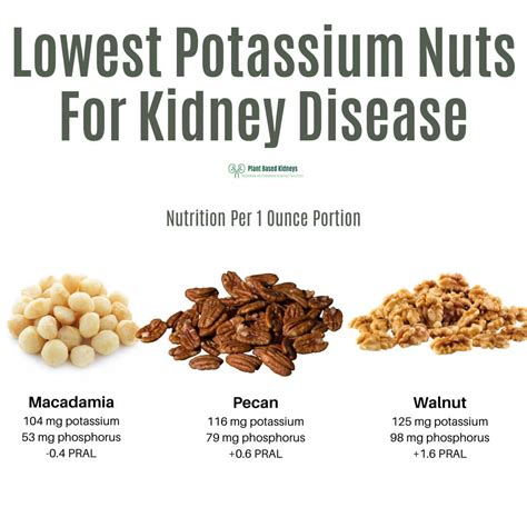 Low Potassium Nuts - Plant Based Kidneys