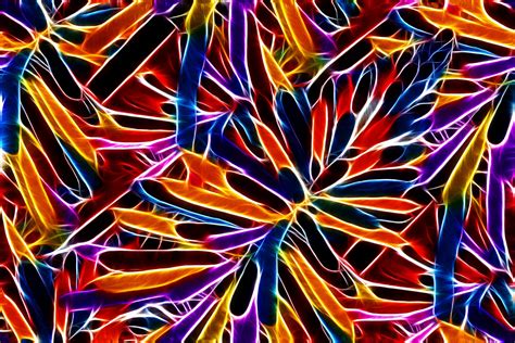 Neon Glow Pattern 1 Free Stock Photo - Public Domain Pictures