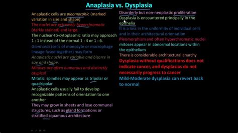 114P Anaplasia vs Dysplasia - YouTube