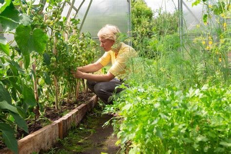 10 Best Plants To Grow in Greenhouse | The Family Handyman