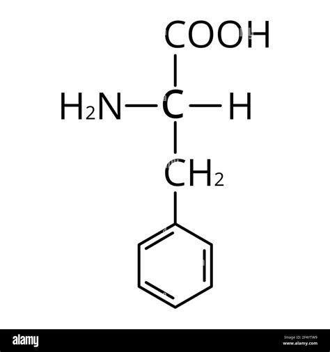 Phenylalanine is an amino acid. Chemical molecular formula Phenylalanine Amino Acid. Vector ...