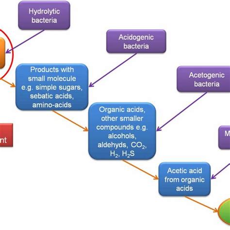 (PDF) Biogas production from pig slurry - feasibility and challenges