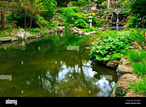 Cascading waterfall and pond in japanese garden Stock Photo - Alamy