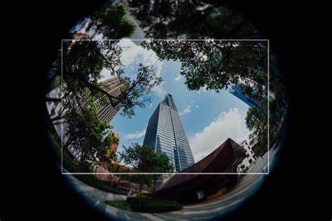 Complete Guide to the Fisheye Lens And How It Works - Photography Project