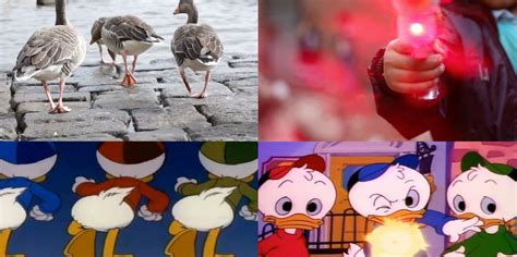 DuckTales Intro Recreated Using Only Stock Footage - borninspace