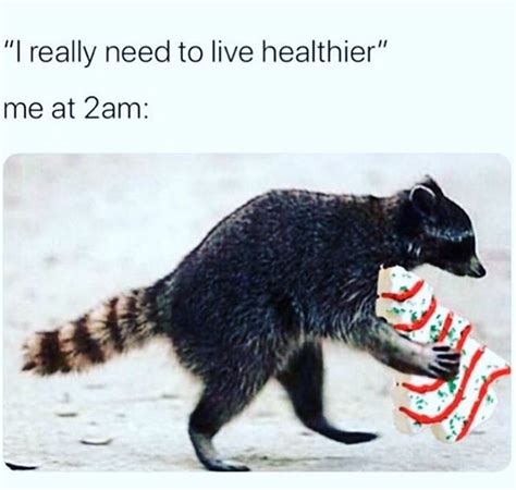 a raccoon holding a candy cane in it's mouth with the caption that reads, i really need to live ...