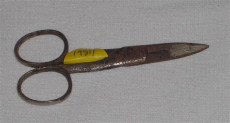 Buttonhole Scissors; 1981-1216-1 | eHive