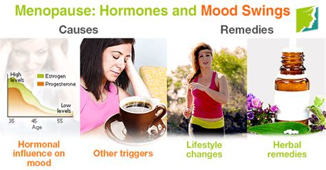 Menopause: Hormones and Mood Swings | Menopause Now