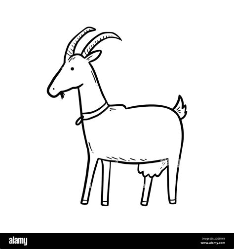 Hand drawn farm animal goat. Doodle sketch style. Drawing line simple ...