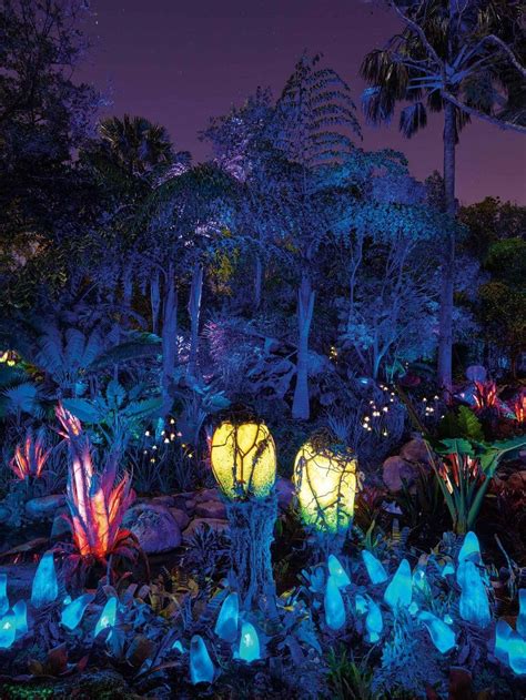 New nighttime photos of Pandora: The World of Avatar light up the night