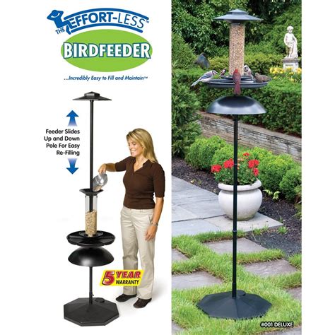 Pole Mounted Bird Feeder With Anti Squirrel Baffle | Best Squirrel Proof Bird Feeders