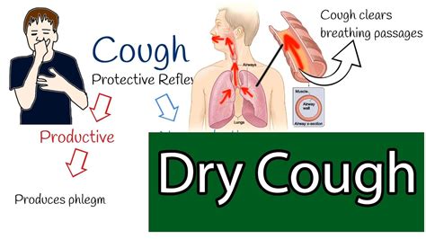 What Causes A Dry Cough In Dogs