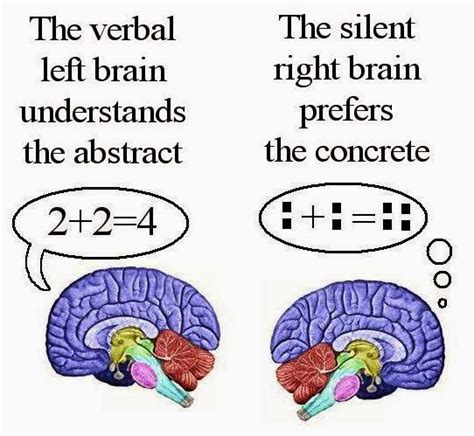 Left Handed Right Brained: Personality Type and Left Handedness: The Anti Authoritarian Daydreamer