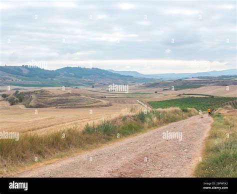 wide landscape on the Way of St James in Spain Stock Photo - Alamy