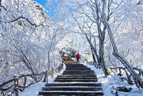 Huangshan Winter, Yellow Mountain Winter