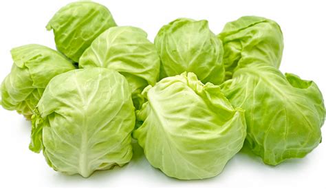 Green Cabbage – TKD FARMS