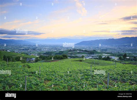 Yamanashi Prefecture, Japan Stock Photo - Alamy