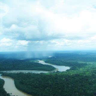 Amazon Conservation | 20 Years of Protecting the Amazon Rainforest