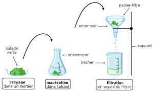 Maceration Extraction Method : How Liqueurs Are Made by cocktail hunter : A typical industrial ...