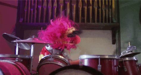 Miss Piggy Chicken GIF - Find & Share on GIPHY