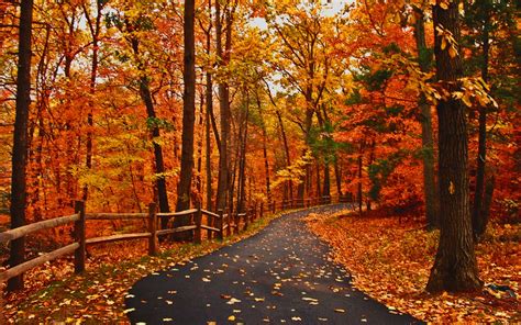 Fall Road Wallpaper - WallpaperSafari