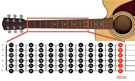 Guitar Fretboard Notes Printable