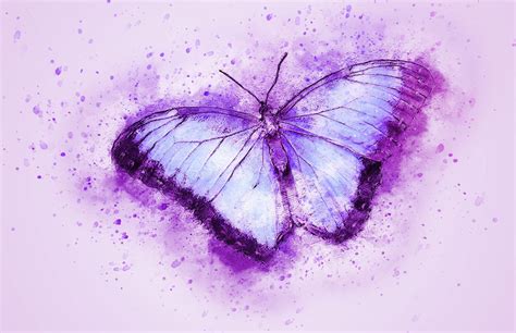 Watercolor Butterfly Wallpapers - Top Free Watercolor Butterfly Backgrounds - WallpaperAccess