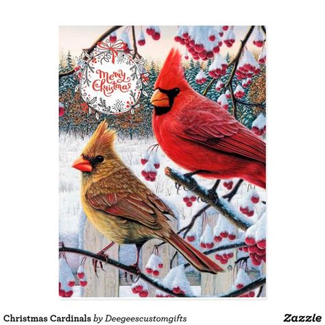 Christmas Cardinals Postcard | Zazzle.com | Bird graphic, Art kits, Bird