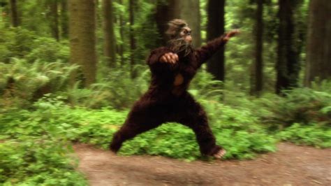 Funny Bigfoot Quotes. QuotesGram