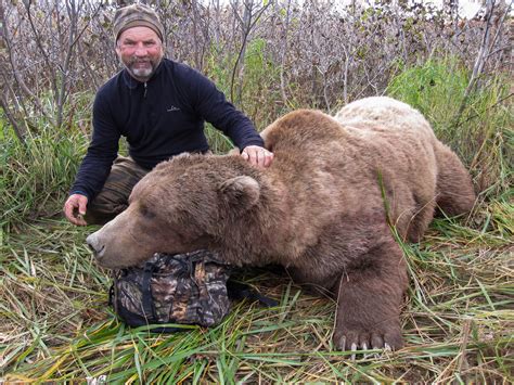 Alaska Brown Bear Hunting - Guided Bear Hunts