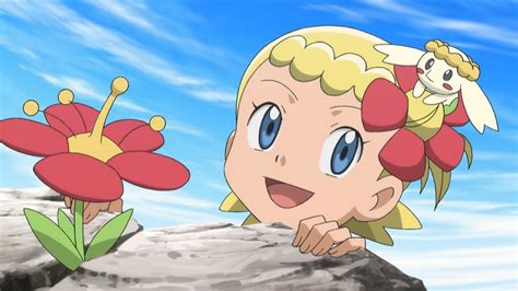 XY027 - To Find a Fairy Flower!