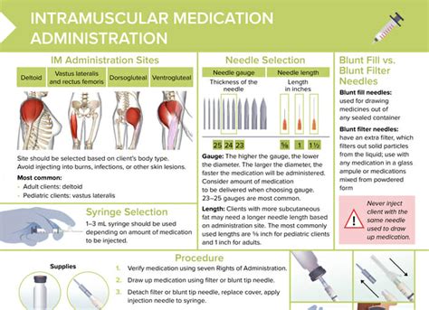 Intramuscular Injection Technique