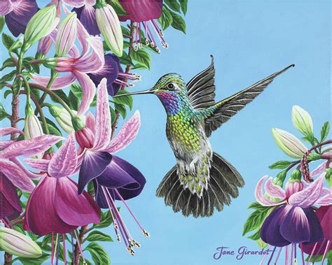 Hummingbird And Fuchsias Painting by Jane Girardot