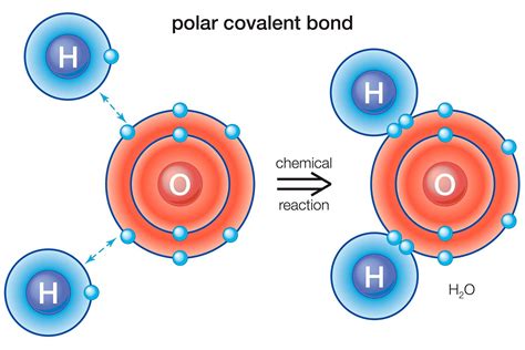 Understanding Polarity: A Comprehensive Guide