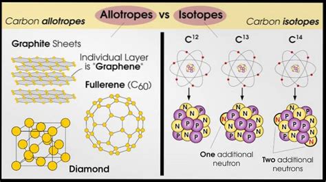 What Is The Difference Between Polymorphism And Allotropy?, 45% OFF