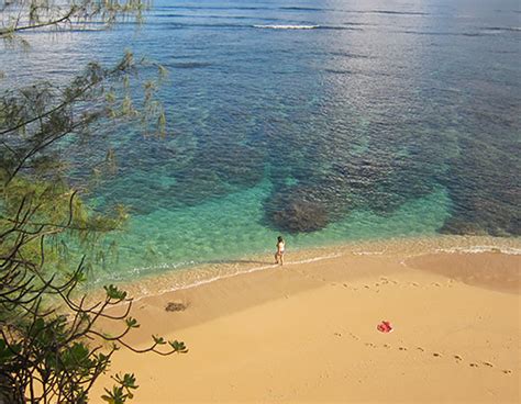 Kauai Snorkeling Recommendations - Best Beaches & Boat Tours