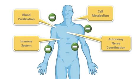 Can You Drink Negative Ions? - Infrared for Health