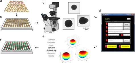 3D tumor spheroid models for in vitro therapeutic screening: a systematic approach to enhance ...