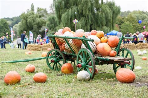 Your Guide To The Best Central Ohio Fall Festivals