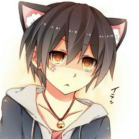 Pin di Ketsiak su browsed 266 | Neko, Anime neko, Lupo anime