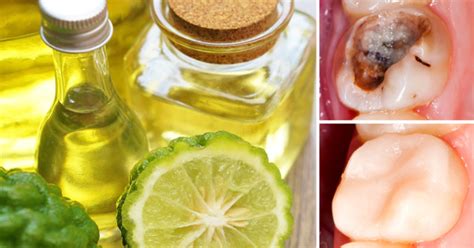 Bergamot Oil: 10 Health Uses You Should Know - David Avocado Wolfe