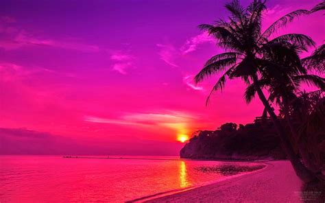 Pink Sunset Wallpapers - Top Free Pink Sunset Backgrounds - WallpaperAccess