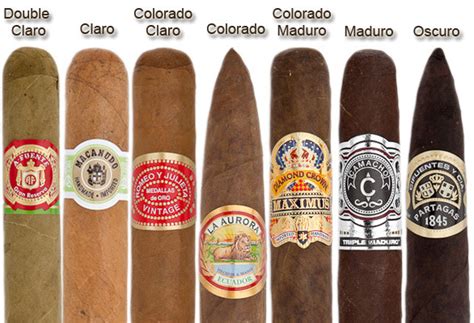 Types Of Cigars: Sizes Shapes Holt's Cigar Company, 48% OFF