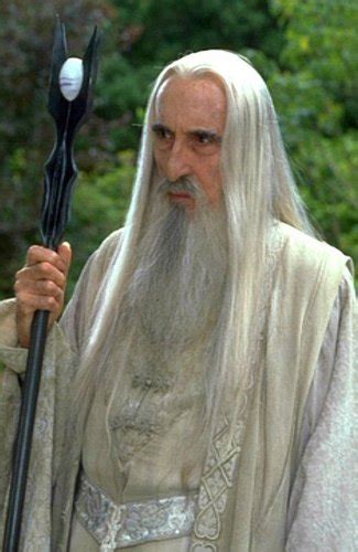 Saruman and Gandalf - Saruman Photo (20940348) - Fanpop