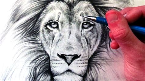 how to draw a lion Free 17+ wonderful lion drawings in ai - Step by Step Drawing