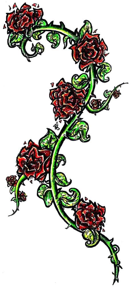 Thorn Vine Drawing at PaintingValley.com | Explore collection of Thorn ...