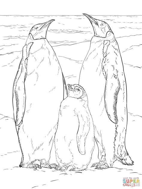 Emperor Penguin Coloring Page - Team Coloring