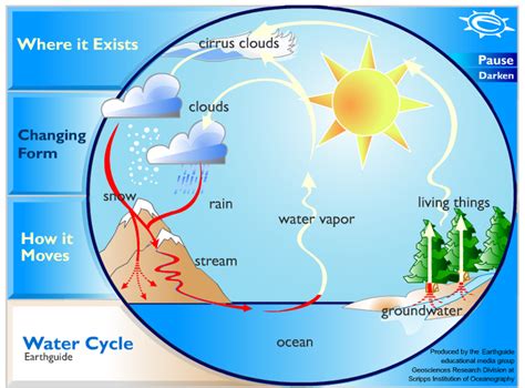 [DIAGRAM] The Water Cycle Diagram Animated - MYDIAGRAM.ONLINE