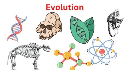 Evolution - Definition, Types and Example - Research Method