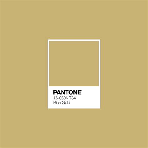 √ Pantone Metallic Gold